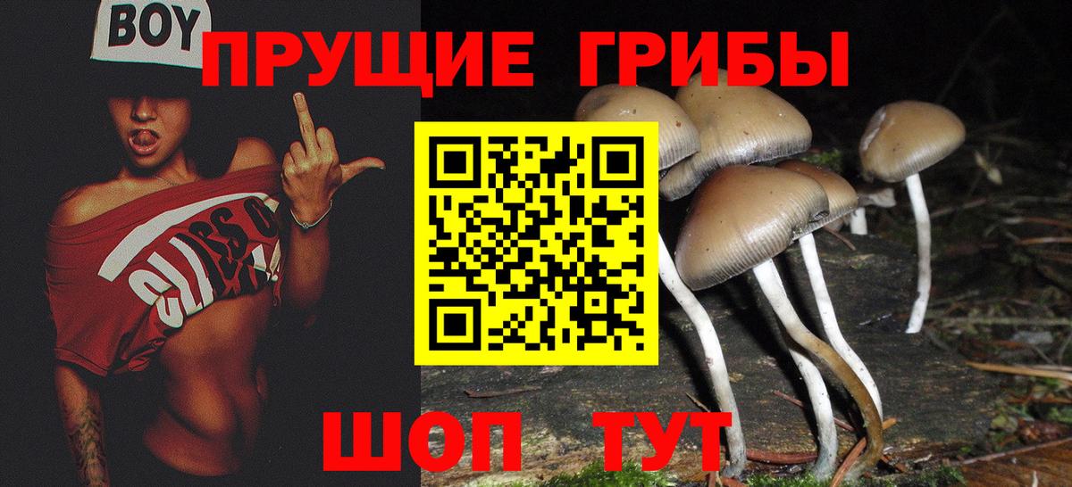 Псилоцибиновые грибы прущие грибы Зерноград