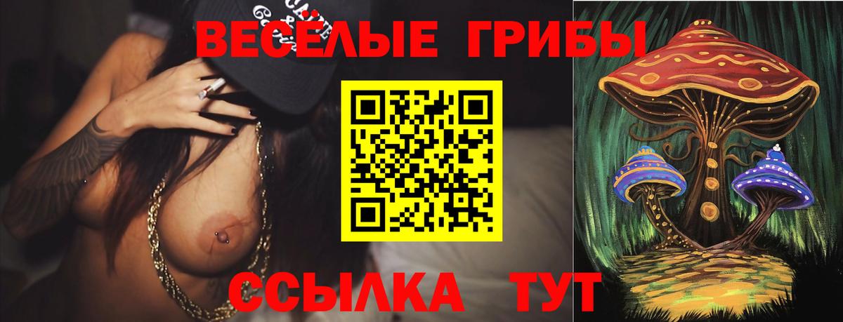 Псилоцибиновые грибы прущие грибы  Псилоцибиновые грибы MAGIC MUSHROOMS  Вход с VPN  Зерноград 